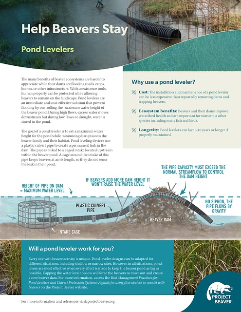 Pond_Levelers_for_Beavers_2025 – Project Beaver